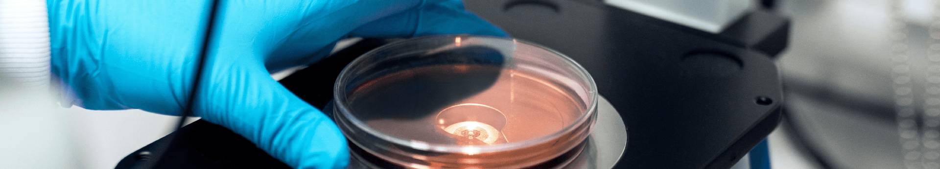 Znanstveno vijeće slika