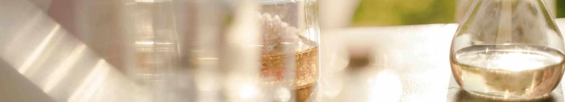 Hrvatski veterinarski institut slika